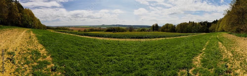 landscape panorama with field and forest