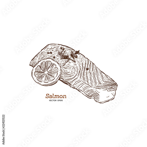 vector salmon steak hand drawn illustration.