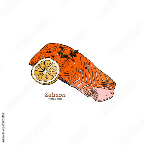 vector salmon steak hand drawn illustration.