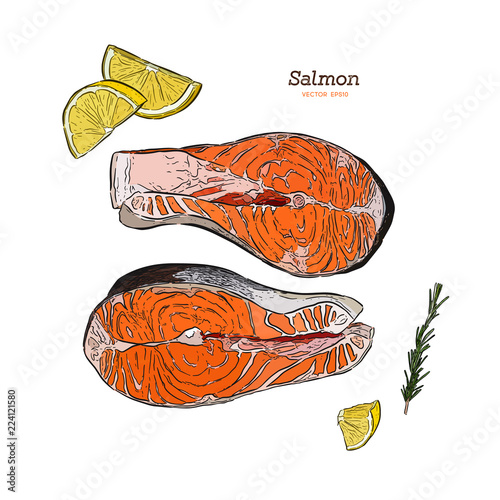 vector salmon steak hand drawn illustration. rosemary, lemon, fish elements