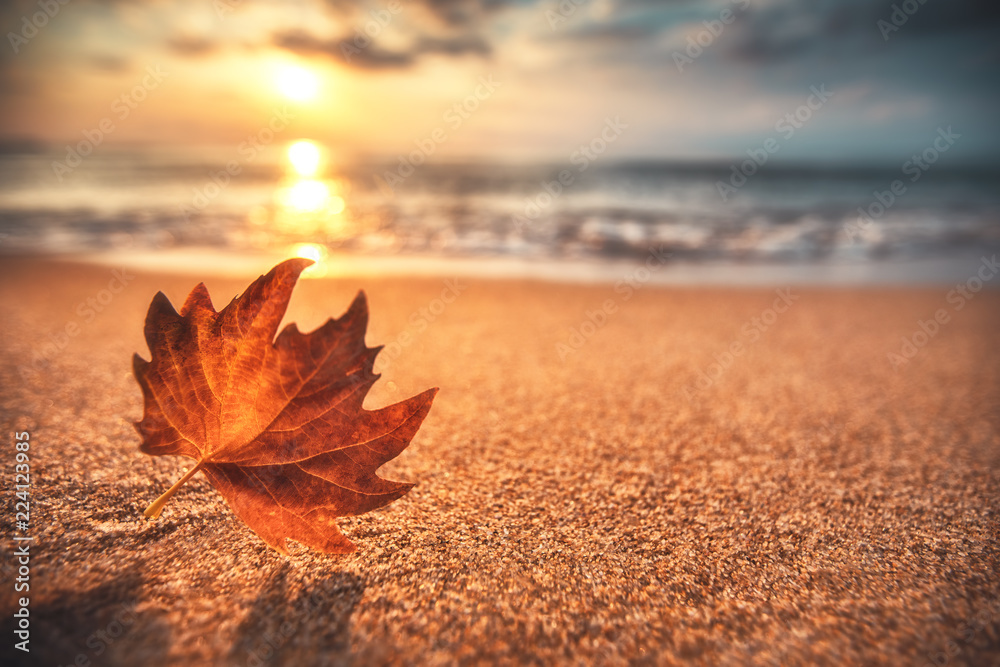 Autumn leaf on the sand. Beautiful cloudscape over the sea, sunrise shot
 - obrazy, fototapety, plakaty 