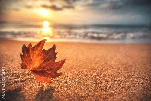 Autumn leaf on the sand. Beautiful cloudscape over the sea, sunrise shot
