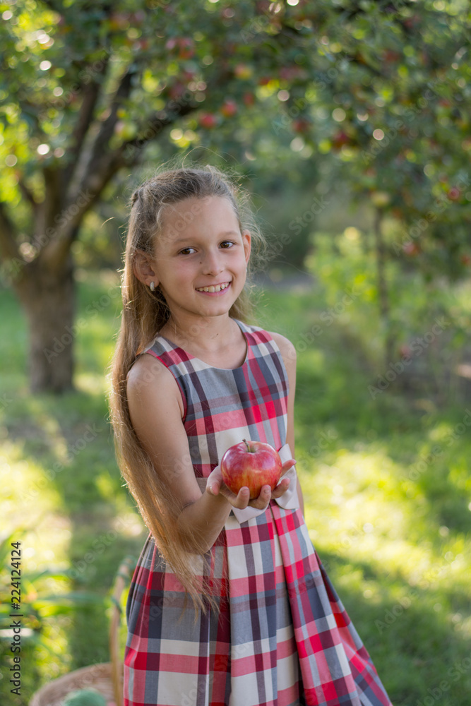 Beautiful girl in an apple orchard. A child tears apples from a tree. Picking apples. An apple in the hands of a girl Beautiful girl in an apple orchard. A child tears apples from a tree. Picking apples. An apple in the hands of a girl