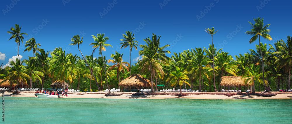 Panoramic view of Exotic Palm trees on the tropical beach.