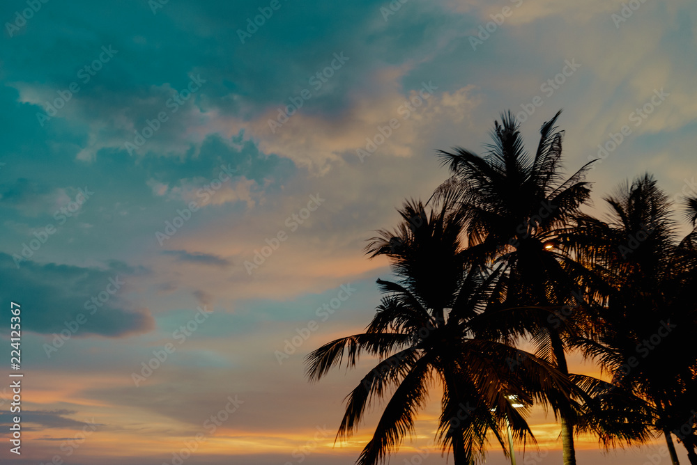 Sunset with coconut palm tree background 