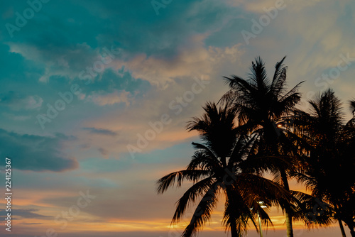 Sunset with coconut palm tree background 