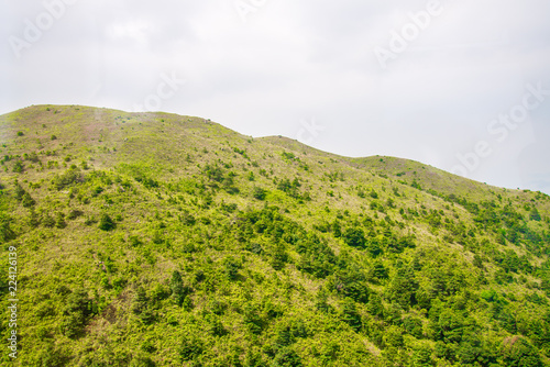 Green mountain nature background