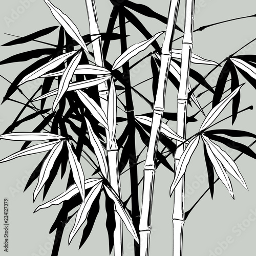 Hand drawn bamboo stems with leaves in black and white