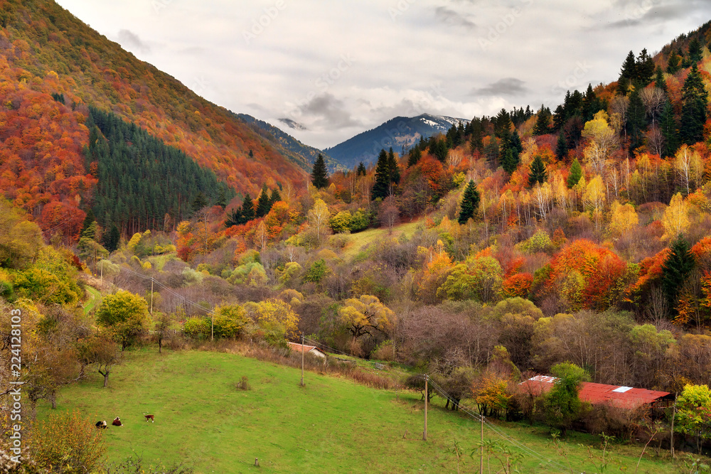Beautiful landscape view of the mountains of the Rila national park in Bulgaria with vibrant autumn colors in the forest