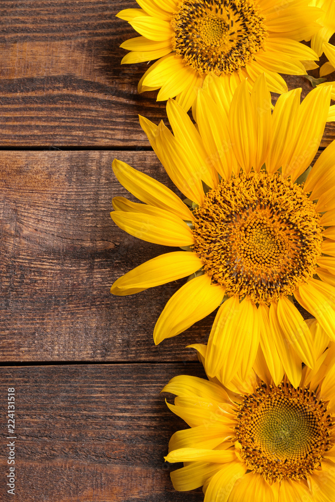 Fototapeta premium Beautiful yellow sunflowers close-up on a brown wooden table. top view