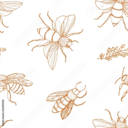Elegant seamless pattern with honey bees hand drawn with contour lines on whi...