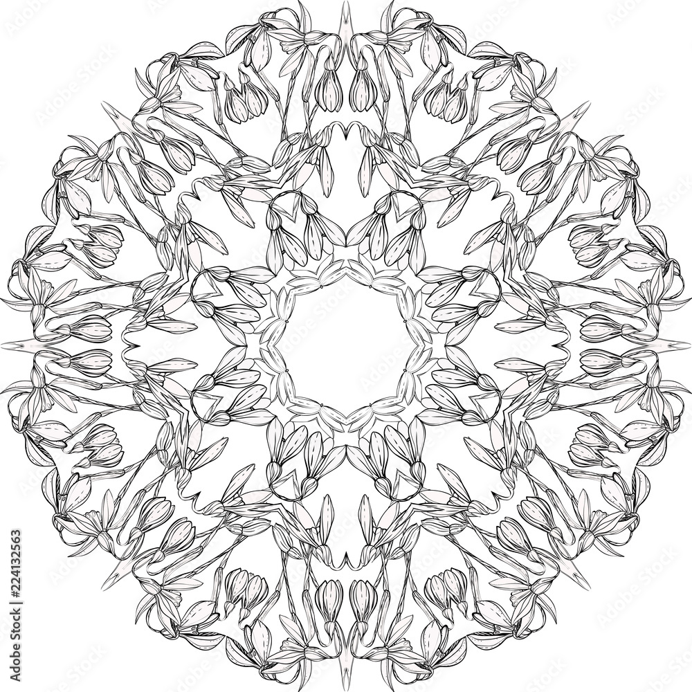 Obraz premium snowdrops, buds, circular pattern, Mandala,coloring books for children and adults, black and white, ink, pen, leaves, buds, flowers, handmade