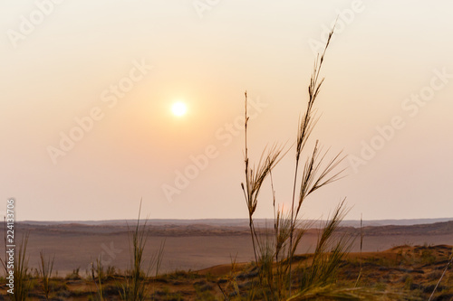 Untergehende Sonne im Tsondab Valley Nature Reserve  Namib-Naukluft-Nationalpark