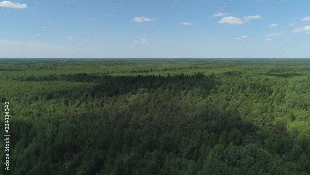 Aerial view green forest, treetops, forest area. Pine, spruce forest from above. Flight over mixed forest on a sunny summer day Aerial view green forest, treetops, forest area. Pine, spruce forest from above. Flight over mixed forest on a sunny summer day