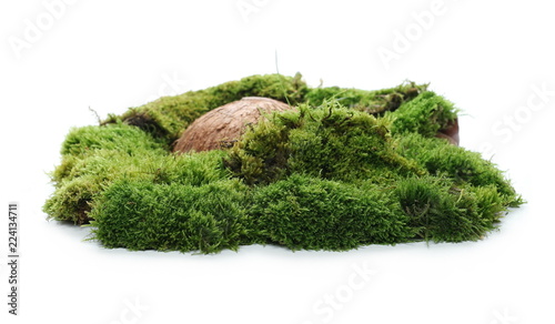 Green moss with rock isolated on white background