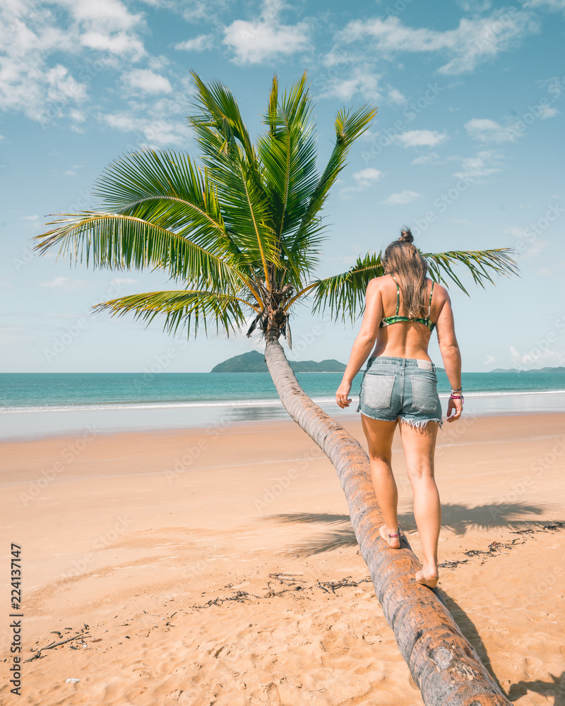 Palm tree on Mission Beach, Queensland, Australia Palm tree on Mission Beach, Queensland, Australia