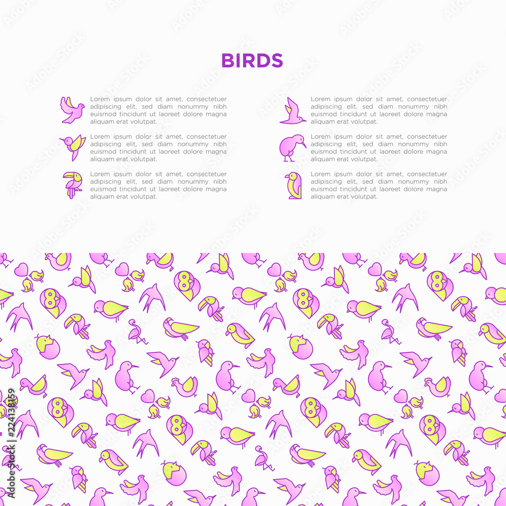 Birds concept with thin line icons set: dove, owl, penguin, sparrow, swallow, kiwi, parrot, eagle, humming bird, pink flamingo. Modern vector illustration, print media template. Birds concept with thin line icons set: dove, owl, penguin, sparrow, swallow, kiwi, parrot, eagle, humming bird, pink flamingo. Modern vector illustration, print media template.