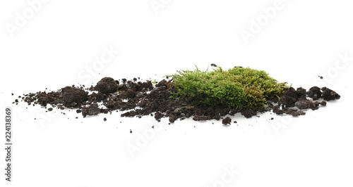 Green moss on soil, dirt pile, isolated on white background