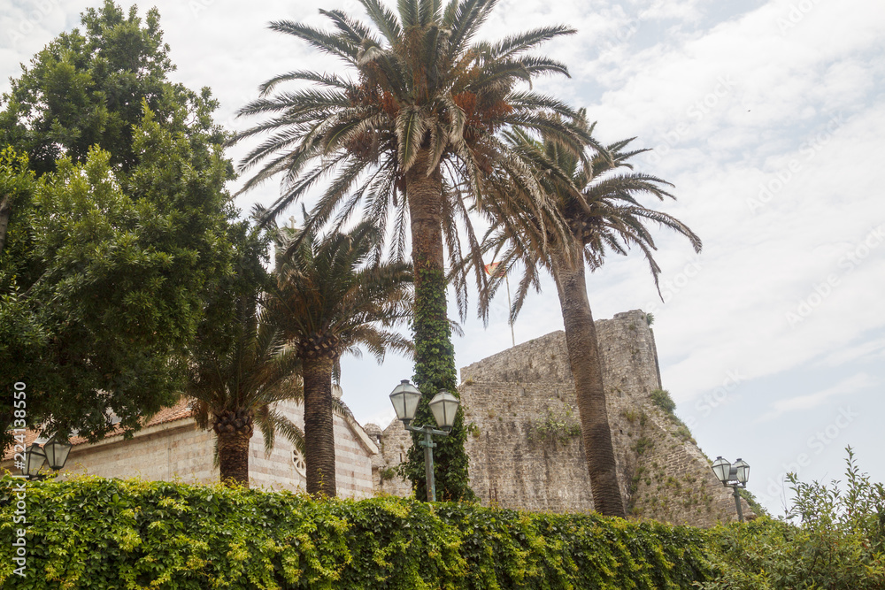 palms and facade of old historical church in Old town Budva, Montenegro