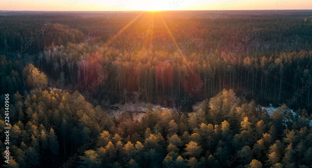 Sunset in the Forest, Aerial Panorama