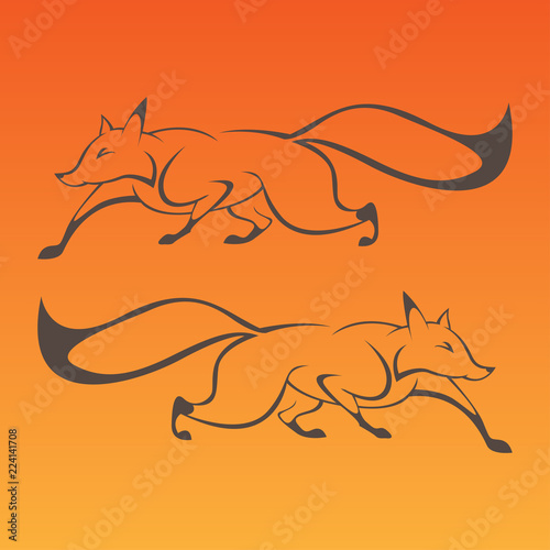 Fox art sign in curve lines vector
