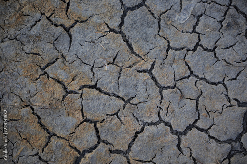 Cracks in dry mud form patterns