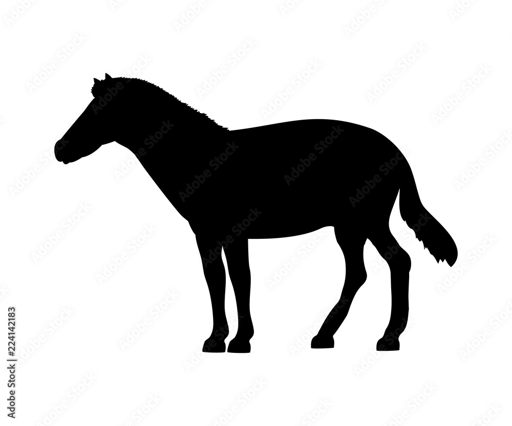 Horse silhouette extinct mammalian animal