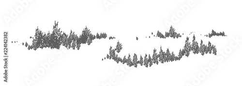 Woodland horizontal natural landscape with silhouettes of spruce, larch or fir trees. Forest panoramic view. Decorative design element in black and white colors. Monochrome vector illustration.