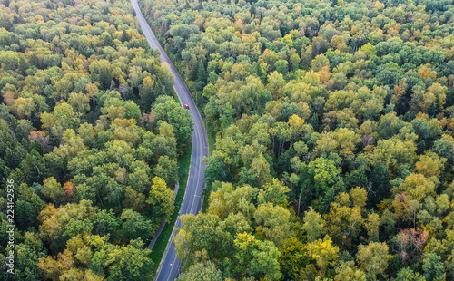 Early autumn forest with a road going throug, aerial view