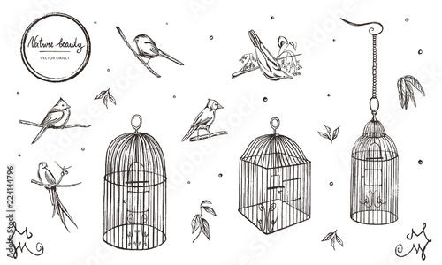Vector illustration. Chalk style vector set. Birds and cages.