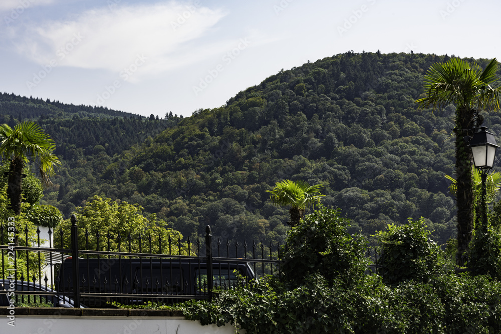 View of beutiful green hills in the historical city of heidelberg View of beutiful green hills in the historical city of heidelberg
