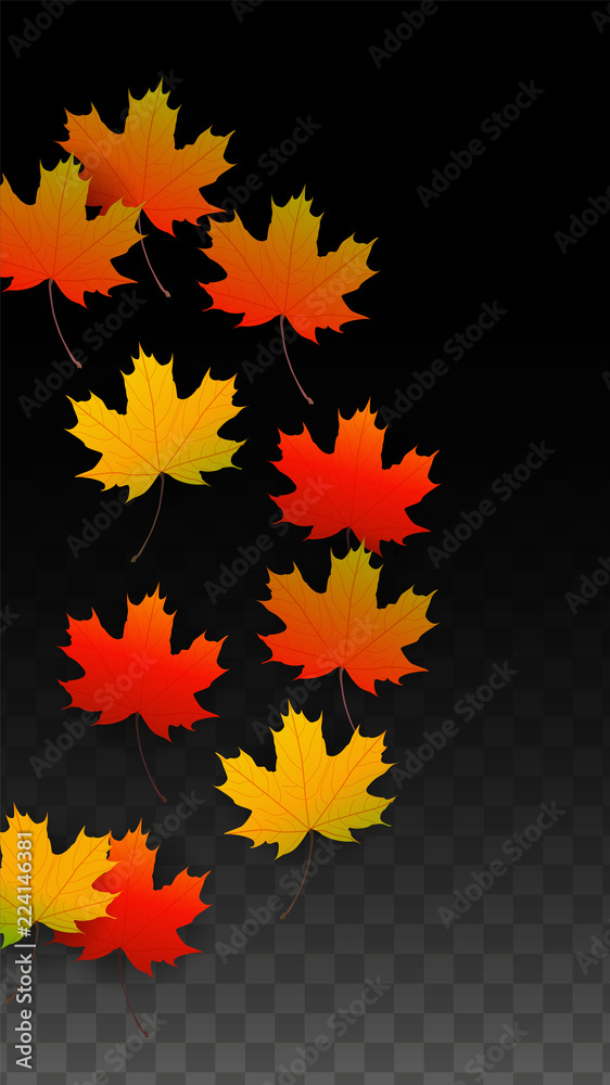 September Vector Background with Golden Falling Leaves. Autumn Illustration with Maple Red, Orange, Yellow Foliage. Isolated Leaf on Transparent Background. Bright Swirl. Suitable for Posters. September Vector Background with Golden Falling Leaves. Autumn Illustration with Maple Red, Orange, Yellow Foliage. Isolated Leaf on Transparent Background. Bright Swirl. Suitable for Posters.