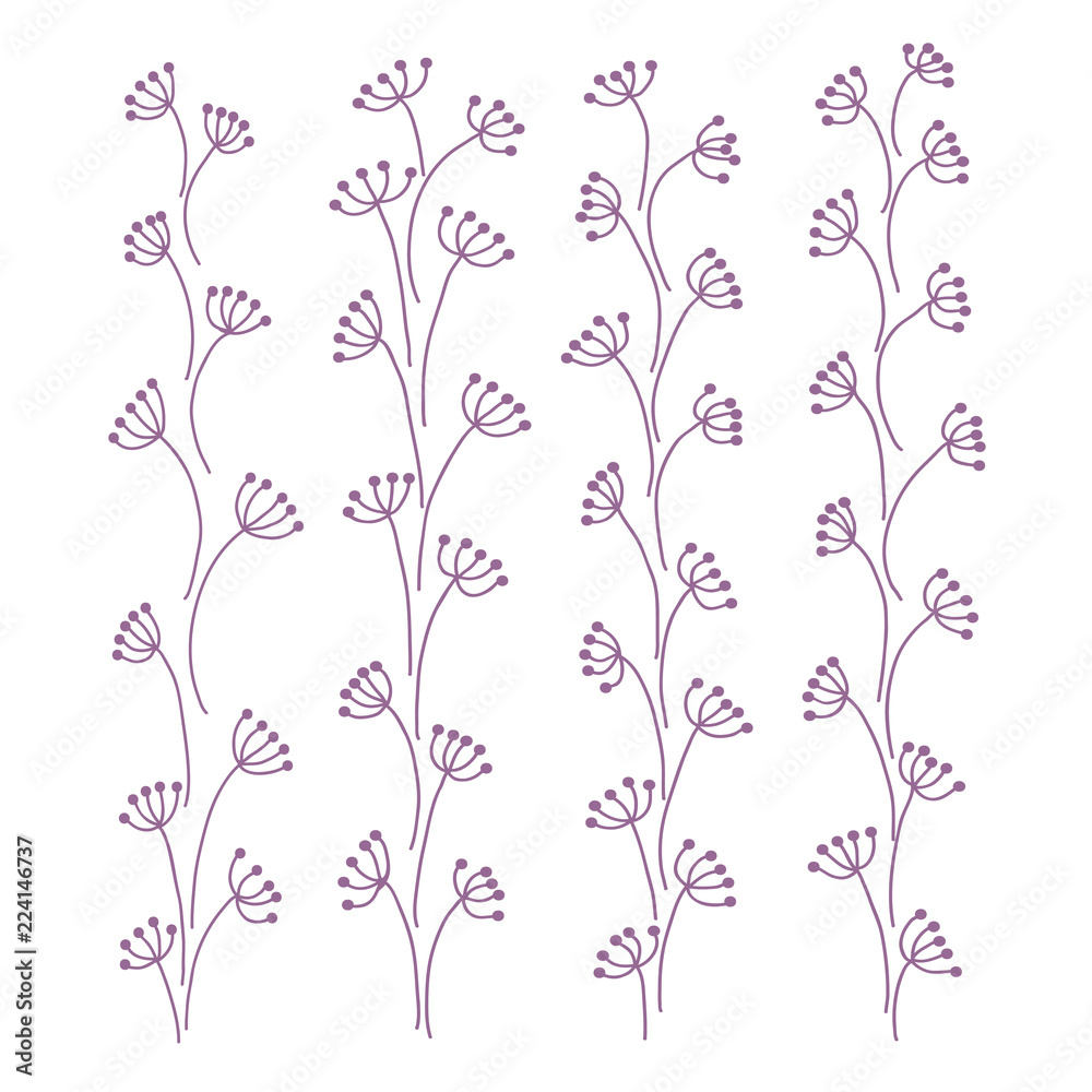Dandelion dandelion with flying seeds for white background. Vector illustrations