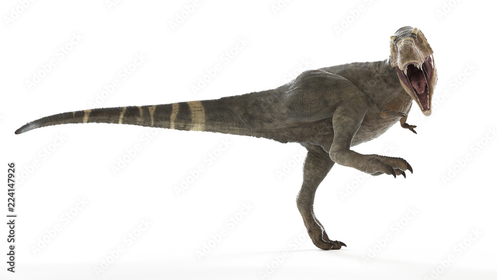 3d rendered illustration of a T-rex 3d rendered illustration of a T-rex