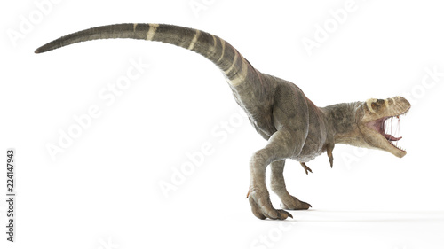 3d rendered illustration of a T-rex