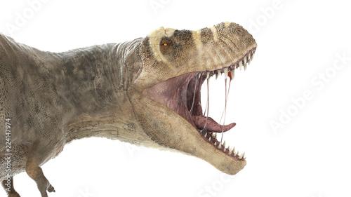 Fototapeta Naklejka Na Ścianę i Meble -  3d rendered illustration of a T-rex