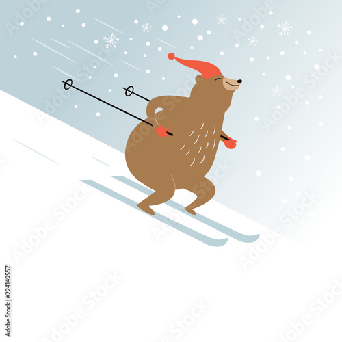 cute bear is skiing