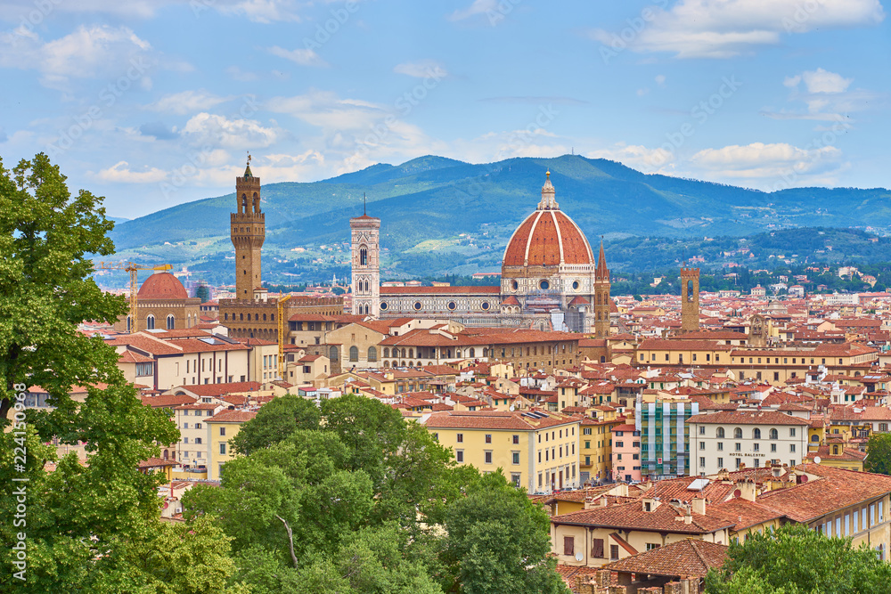 Obraz premium Aerial view of Florence with the Basilica Santa Maria del Fiore (Duomo) and tower of 
