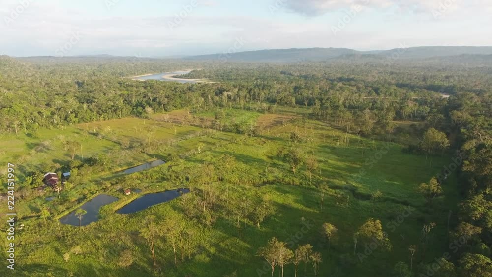 Aerial of a cattle farm cut out of the Amazon rainforest in Ecuador. On a sunny evening, with fish ponds for raising Tilapia, surrounded by primary rainforest. Napo province in the Ecuadorian Amazon. Aerial of a cattle farm cut out of the Amazon rainforest in Ecuador. On a sunny evening, with fish ponds for raising Tilapia, surrounded by primary rainforest. Napo province in the Ecuadorian Amazon.
