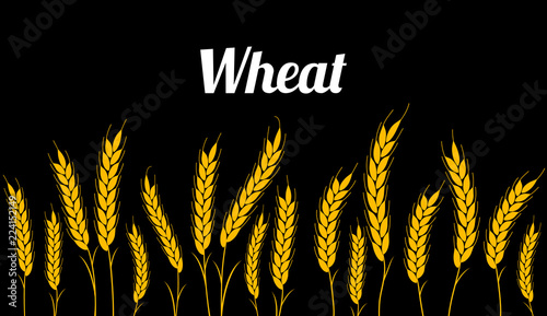 Black background seamless pattern. vector illustration field with ears of wheat for agriculture or bakery.