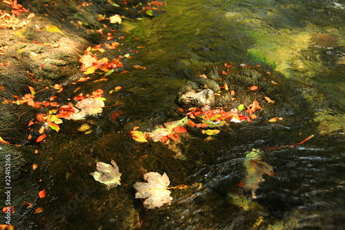 Kamacnik in Gorski kotar, Croatia