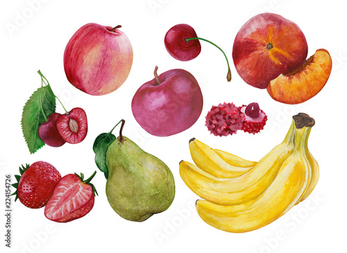 Fruits in watercolor