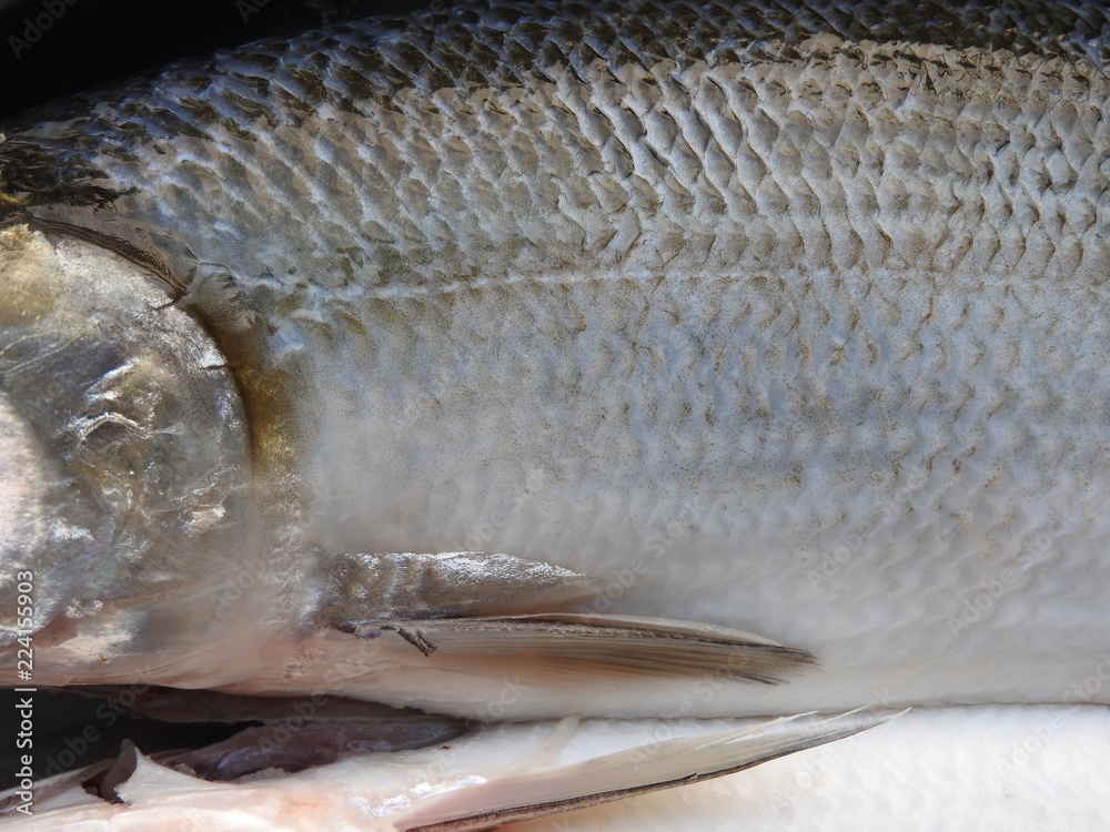 Fresh raw milkfish (scientific name Chanos chanos) were cleaned, the