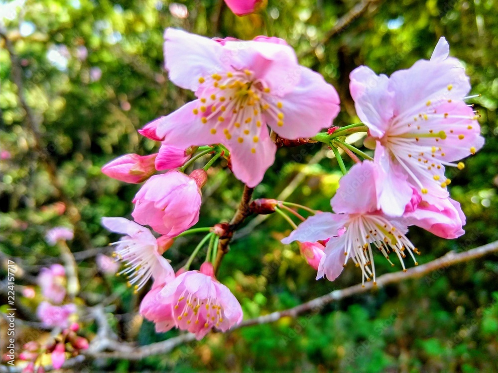 Obraz premium paisagens