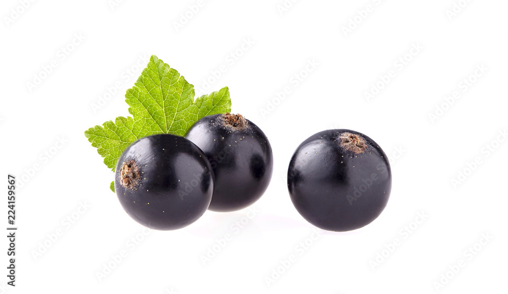 Black currant with leaf on White Background Black currant with leaf on White Background