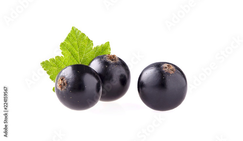Black currant with leaf on White Background