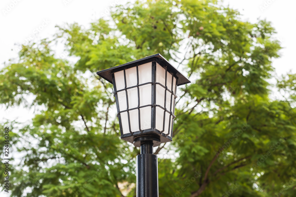 Street lamp outdoor. Old Fashioned Street Light