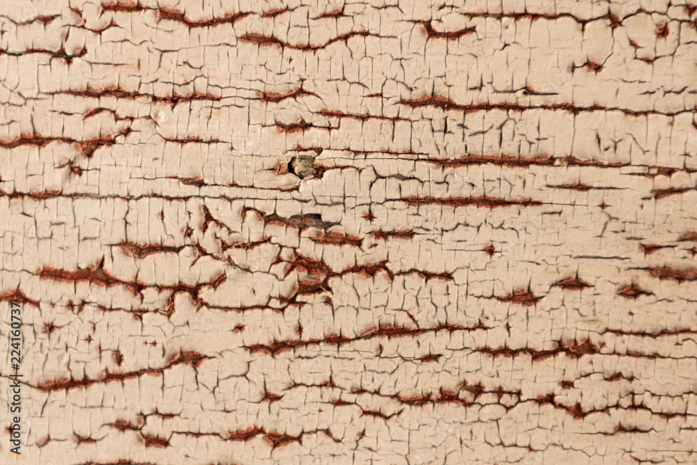 Old wood, background, texture Old wood, background, texture