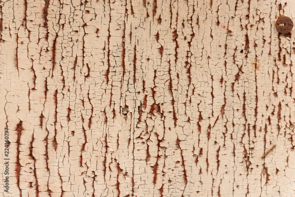 Old wood, background, texture Old wood, background, texture