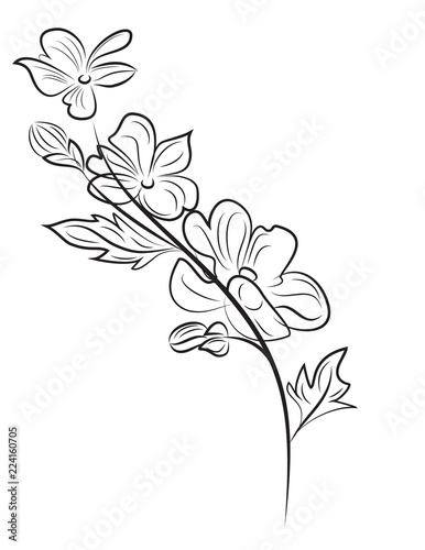 cherry branch beautiful floral composition, flower abstract vector illustration